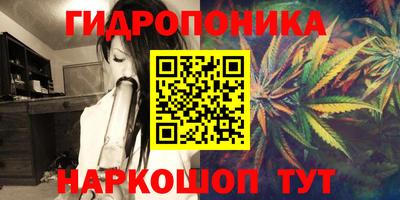 первитин Дубна