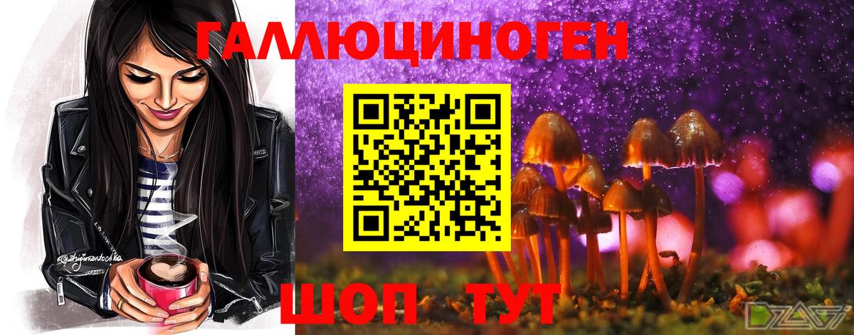 Галлюциногенные грибы Magic Shrooms Медногорск